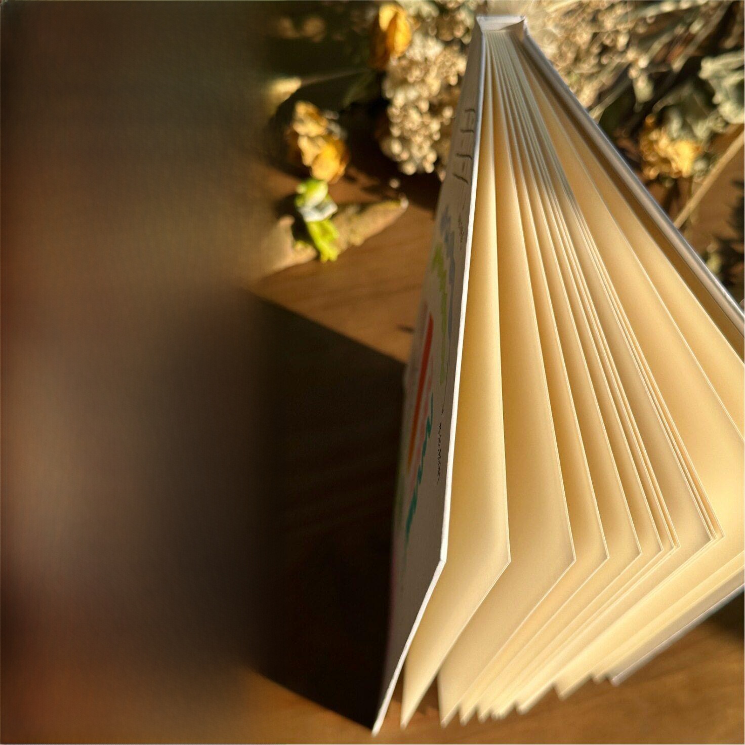 Journal Leather Hardcover - Carnet à couverture rigide dessiné à